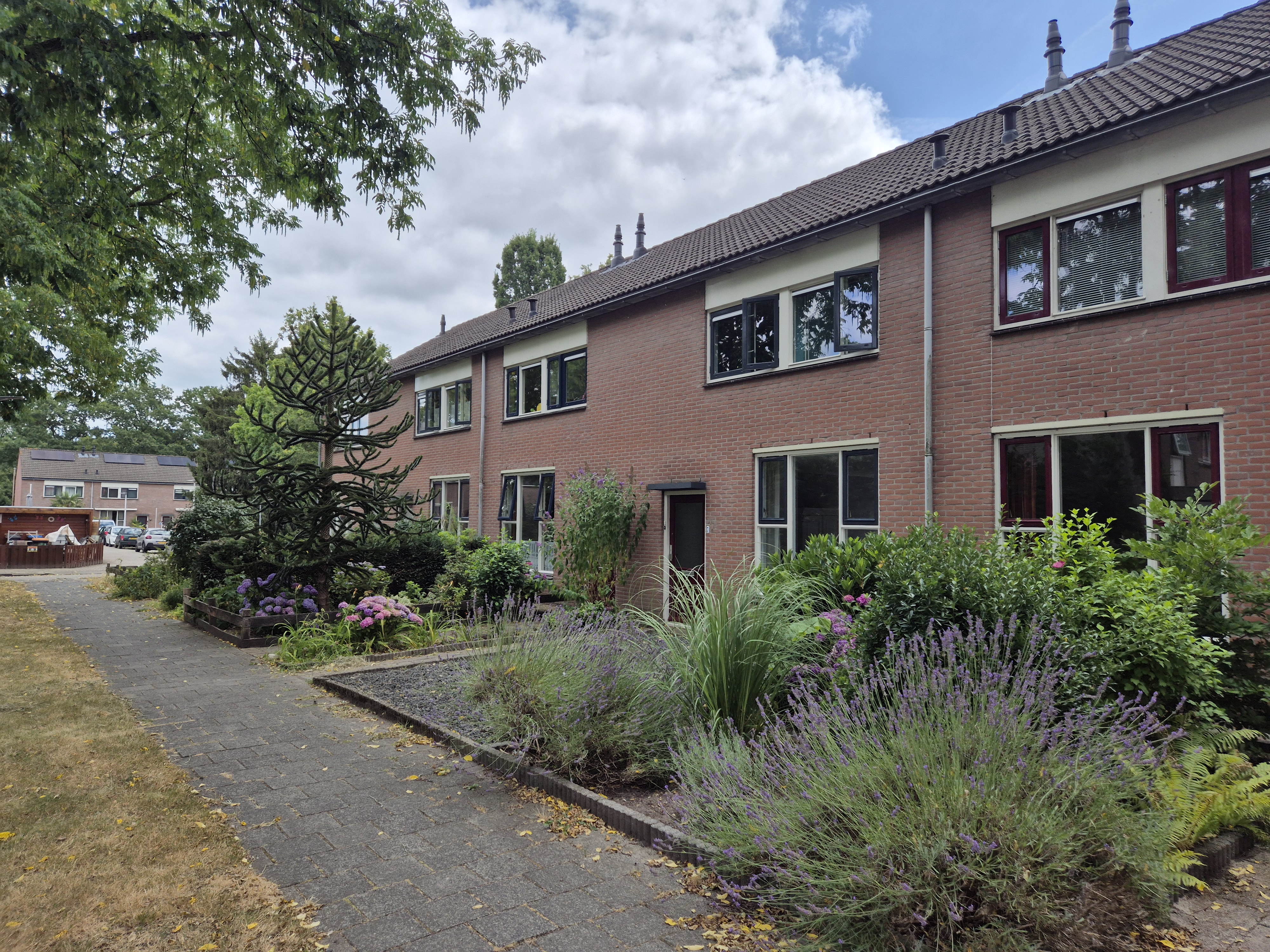 Tussenwoning te huur: Acaciahof 7, Berkenoord 2 Vaassen